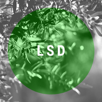 安心の販売 DATSUSTORA LSD GISM 本・音楽・ゲーム | thinkfab.in