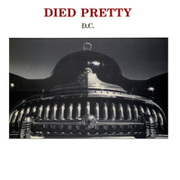Died Pretty - D.C. / Wonder