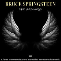 Bruce Springsteen - She Has Wings (Live)