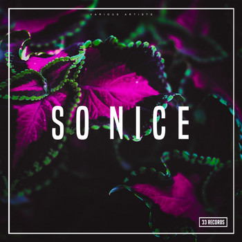 Various Artists - So Nice (Explicit)