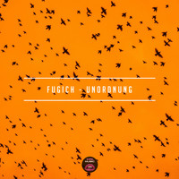 Fugich - Unordnung