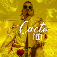 NEET - Cacto