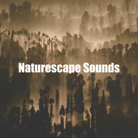 Nature Soundscapes - Naturescape Sounds