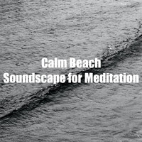 Beach Sounds - Calm Beach Soundscape for Meditation