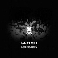 James Mile - Dalmation