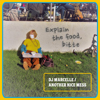 DJ Marcelle / Another Nice Mess - Explain the Food, bitte