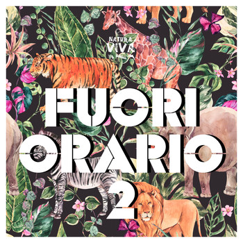 Various Artists - Fuori Orario, Vol. 2