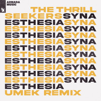 The Thrillseekers - Synaesthesia (UMEK Remix)