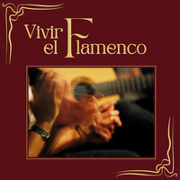 Niño Del Museo - Vivir el Flamenco