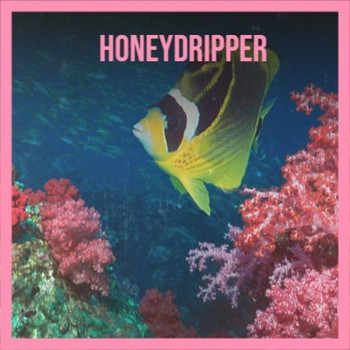 Various Artist - HoneyDripper