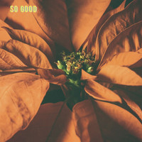 GreenMamba - So Good