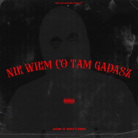ADIN - NIE WIEM CO TAM GADASZ (Explicit)