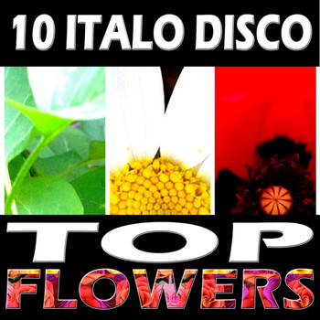 Various Artists - 10 Italo Disco Top Flowers