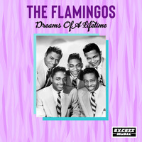 The Flamingos - Dreams Of A Lifetime
