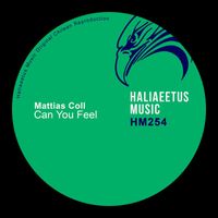 Mattias Coll - Can You Feel