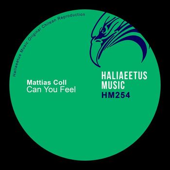 Mattias Coll - Can You Feel