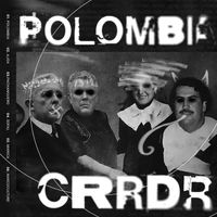 CRRDR - Polombia