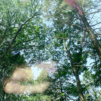 Spiral - everything unfolding