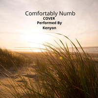 Kenyon - Comfortably Numb