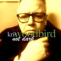 Kris Woodbird - Not Dark