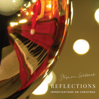 Stephen Wallack - Reflections