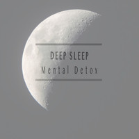 Deep Sleep - Mental Detox