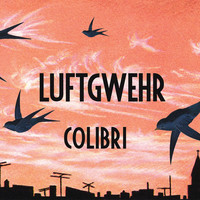 Colibri - Luftgwehr