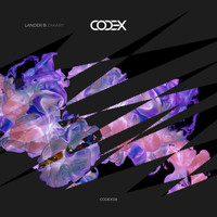 Lander B - Zakary