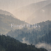 Forest Walks - Earth Awakens