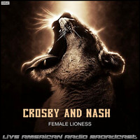 Crosby & Nash - Female Lioness (Live)