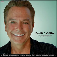 David Cassidy - Skating On Thin Ice (Live)
