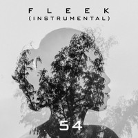 54 - Fleek (Instrumental)