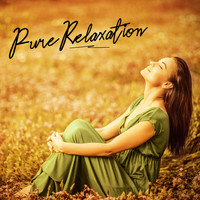 Relaxation and Meditation - Pure Relaxation – Collection of Ambient New Age Melodies for Rest After Stressful Day, Nature, Hz Tones, Reiki, Calm