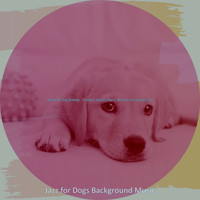 Jazz for Dogs Background Music - Music for Dog Walking - Trumpet, Electric Piano, Alto Sax and Soprano Sax