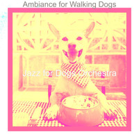 Jazz for Dogs Orchestra - Ambiance for Walking Dogs