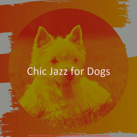 Chic Jazz for Dogs - Music for Sweet Dogs - Trumpet, Electric Piano, Alto Sax and Soprano Sax