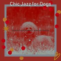 Chic Jazz for Dogs - Spectacular Trumpet Smooth Jazz - Ambiance for Sweet Dogs