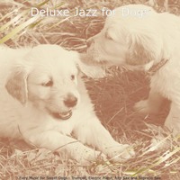 Deluxe Jazz for Dogs - Fiery Music for Sweet Dogs - Trumpet, Electric Piano, Alto Sax and Soprano Sax