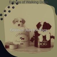 Glorious Jazz for Dogs - Echoes of Walking Dogs