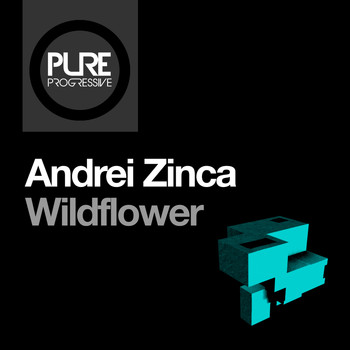Dan-Andrei Zinca - Wildflower