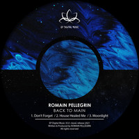 Romain Pellegrin - Back To Main