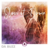Da Buzz - Slow It Down