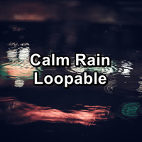 Rain - Calm Rain Loopable