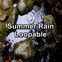 Nature Sounds for Relaxation - Summer Rain Loopable