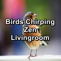 Ocean Wave Sounds - Birds Chirping Zen Livingroom