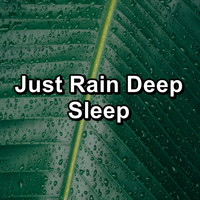 Sleep Tribe - Just Rain Deep Sleep