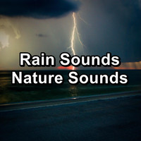 Sleep Tribe - Rain Sounds Nature Sounds