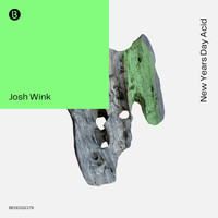 Josh Wink - New Years Day Acid
