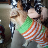 Stephanie Rogers - Don't Give Up