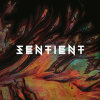 Sentient - Fractal Infection